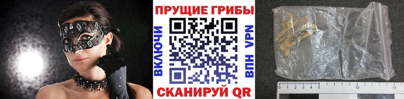Псилоцибиновые грибы прущие грибы  Соликамск 